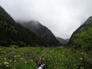 Bergwiesen im Jiuzhaigou Nationalpark in China 2016.