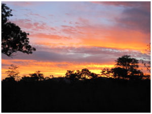 Traumhafter Sonnenuntergang im Busch in Südafrika 2009.