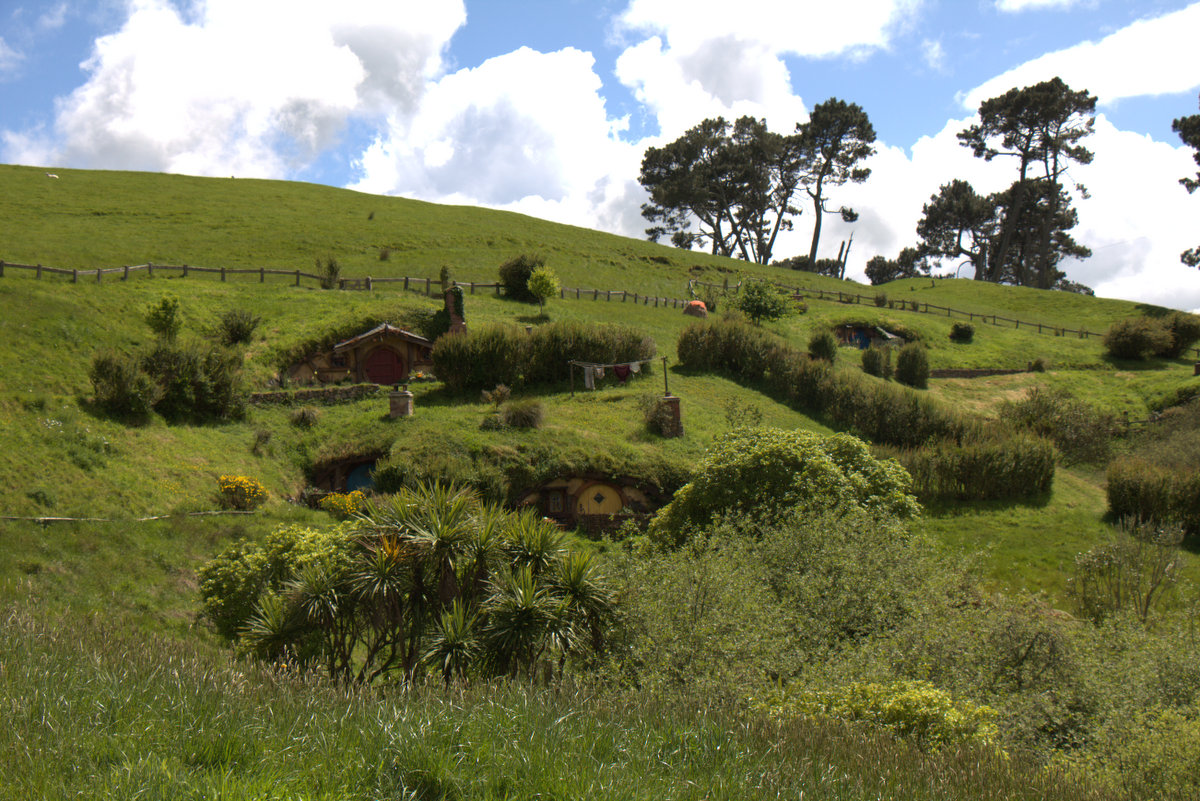 Die Hobbithügel in Neuseeland. Foto: Daniel Heinen