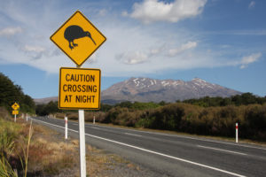 Ein Kiwi-Warnschild in Neuseeland. Quelle: Pixabay