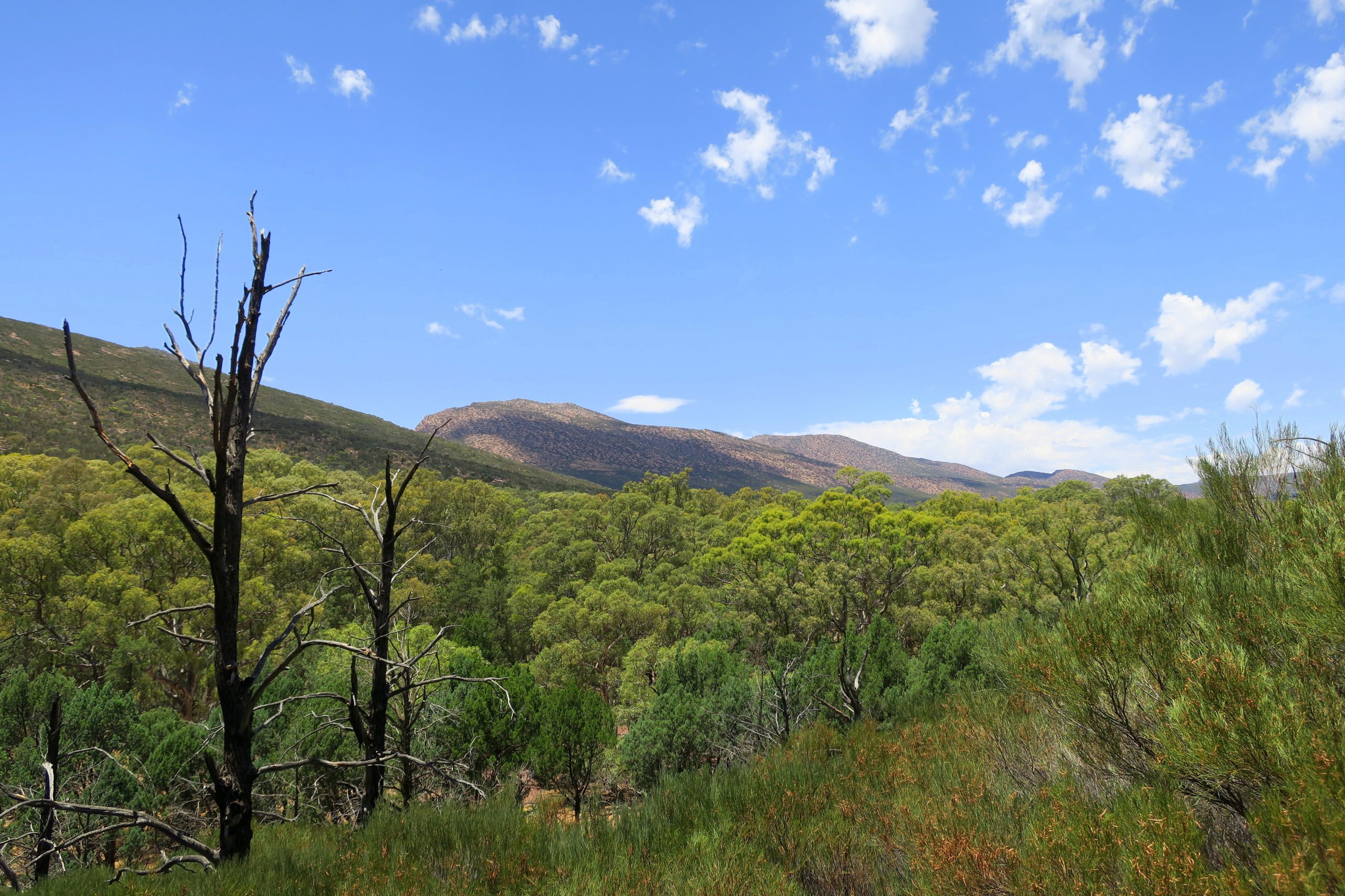 Die Flinders Ranges in Südaustralien (2016).